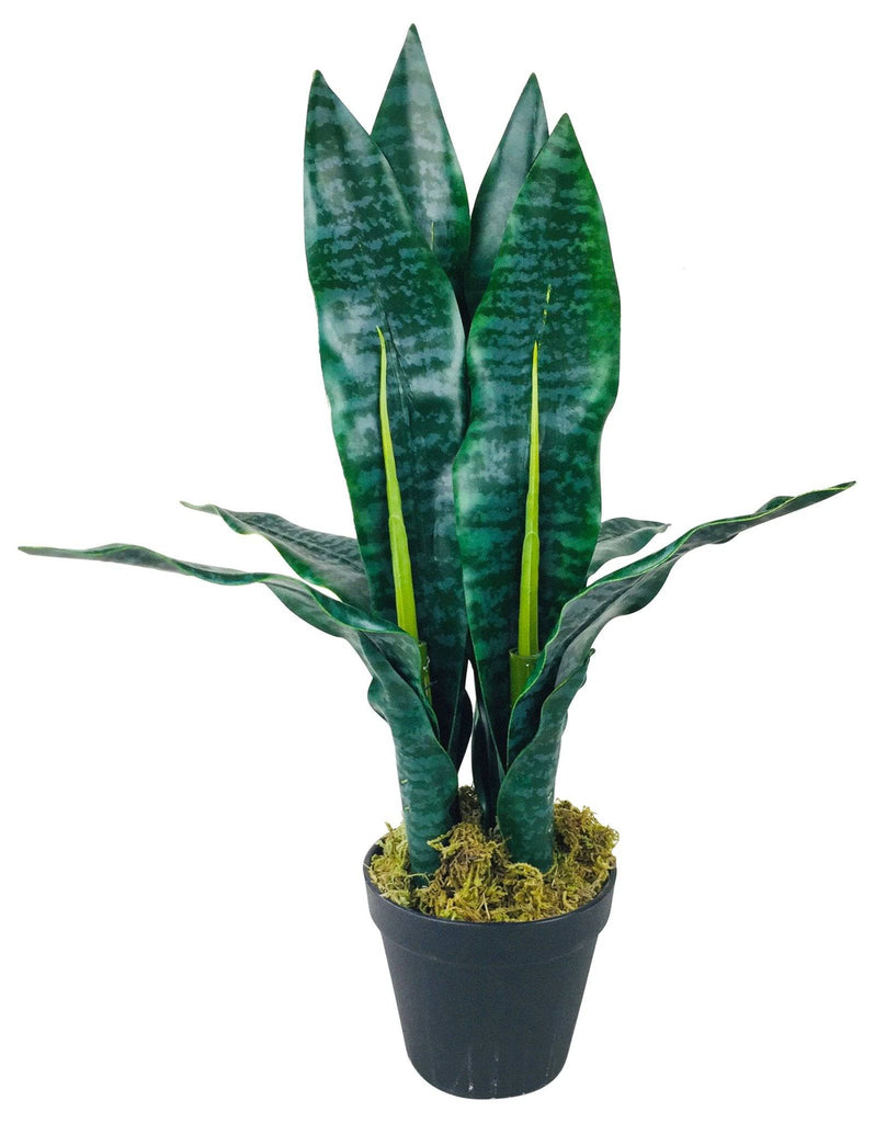 Artificial Mother in Law's Tongue Plant 51cm - Price Crash Furniture