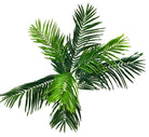 Artificial Palm Tree 150cm - Price Crash Furniture