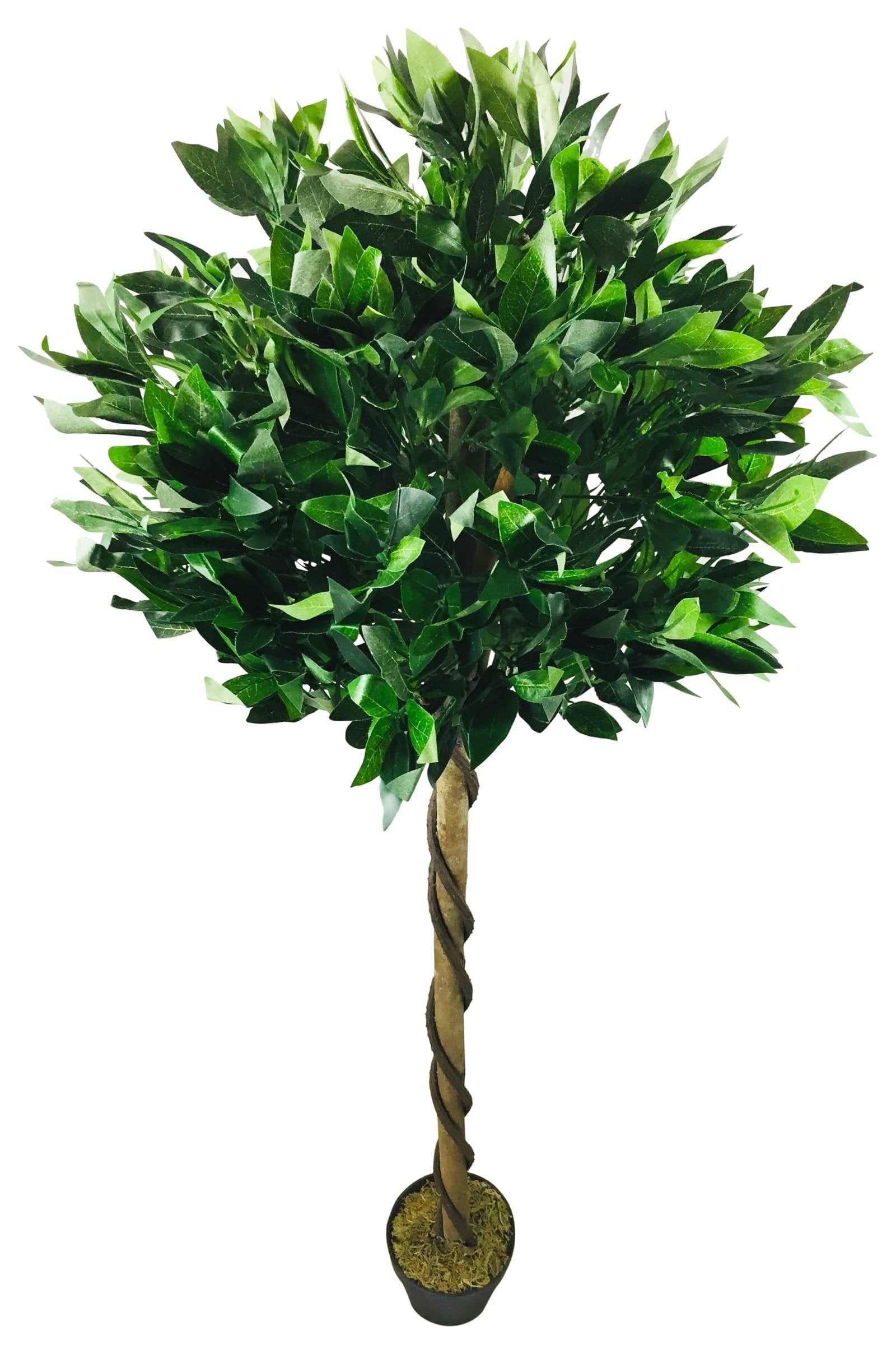 Artificial Pyramid Bay Tree Topiary 162cm - Price Crash Furniture