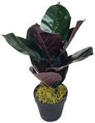 Artificial Rubber Plant 41cm - Price Crash Furniture