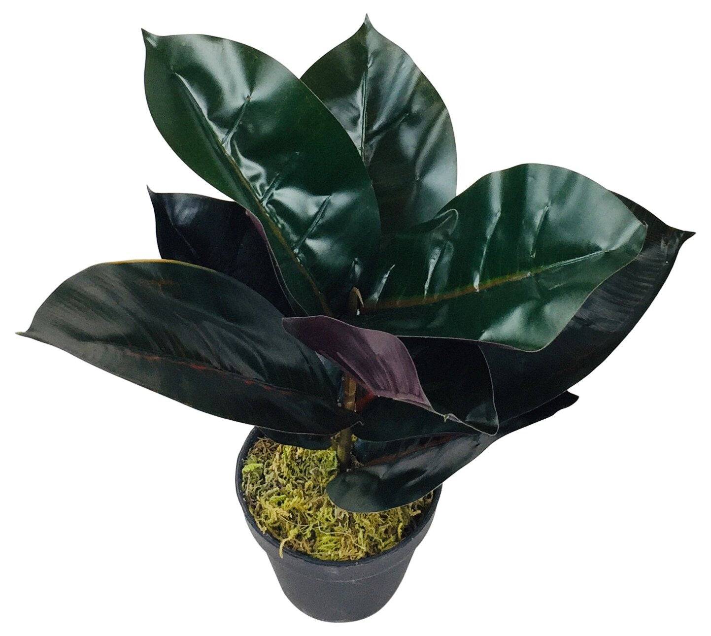 Artificial Rubber Plant 41cm - Price Crash Furniture