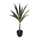 Artificial Single Trunk Yucca Tree, 80cm - Price Crash Furniture