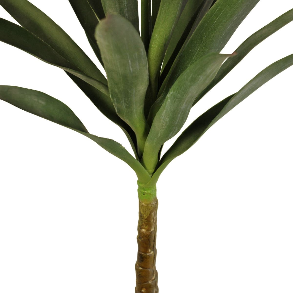 Artificial Single Trunk Yucca Tree, 80cm - Price Crash Furniture