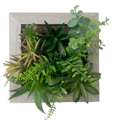 Artificial Succulents In Square Wooden Frame - Price Crash Furniture