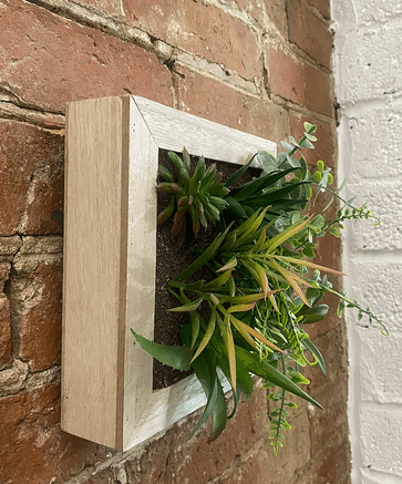 Artificial Succulents In Square Wooden Frame - Price Crash Furniture