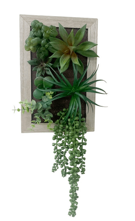 Artificial Succulents In Wooden Frame - Price Crash Furniture