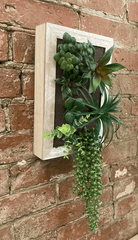 Artificial Succulents In Wooden Frame - Price Crash Furniture