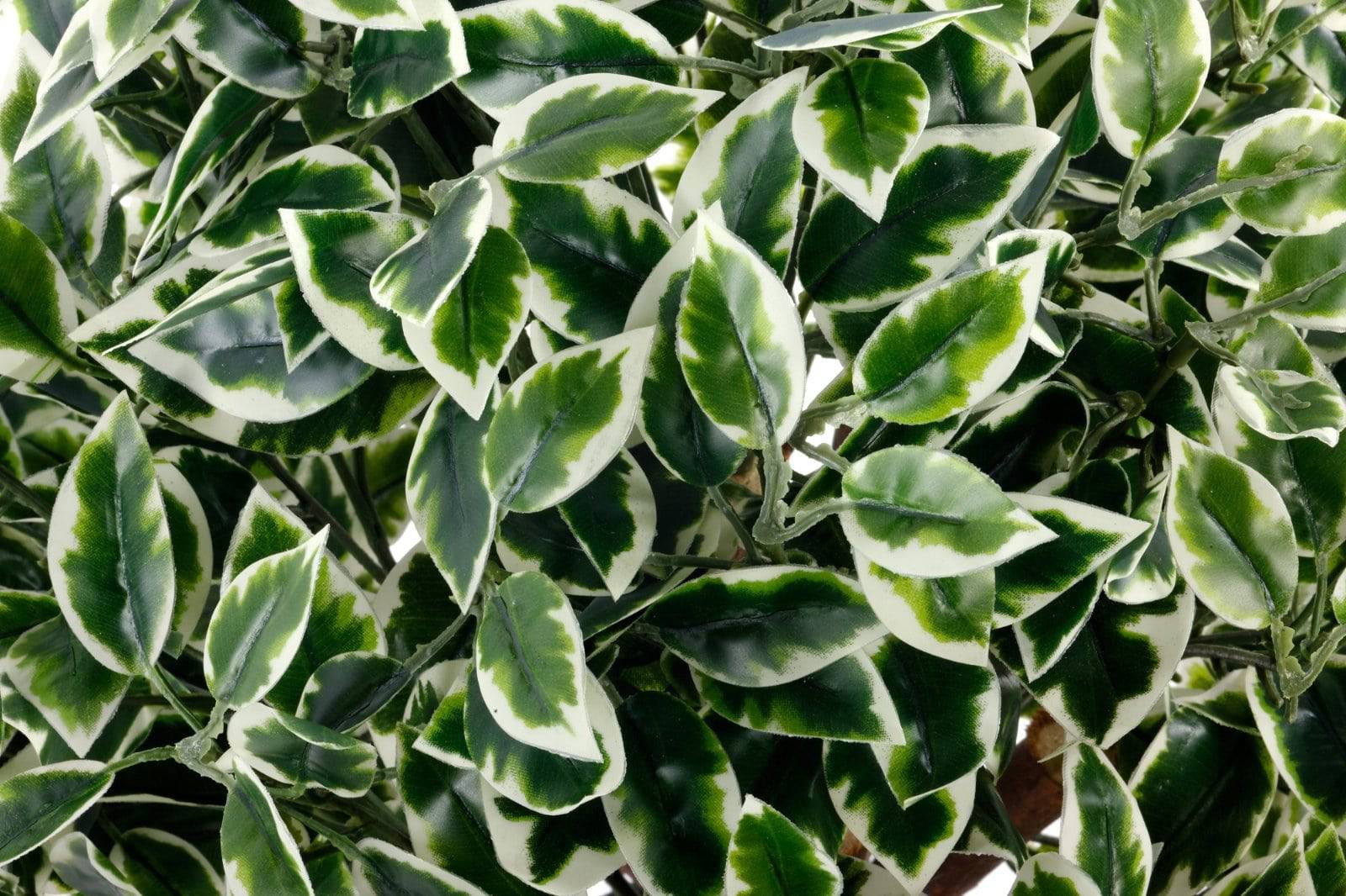 Artificial Variegated Ficus Ball 65cm - Price Crash Furniture