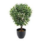 Artificial Variegated Ficus Ball 65cm - Price Crash Furniture