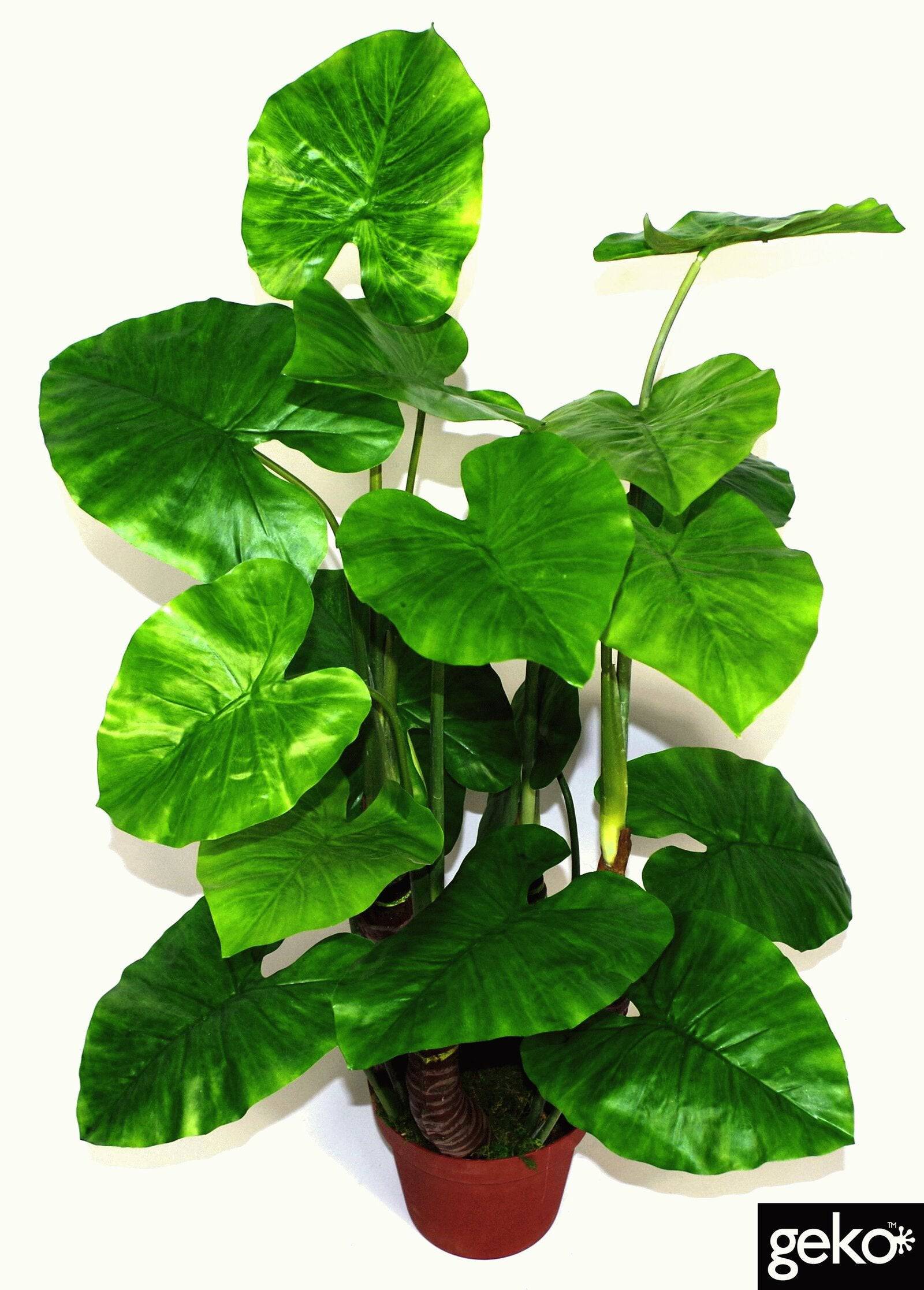 Artificial X-Large 105cm Taro Plant - Price Crash Furniture