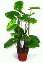 Artificial X-Large 105cm Taro Plant - Price Crash Furniture