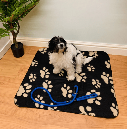 Black Paw Print Fleece Throw 80cm - Price Crash Furniture