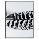 Black Striped Feather Over 3 Black Glass Frames - Price Crash Furniture