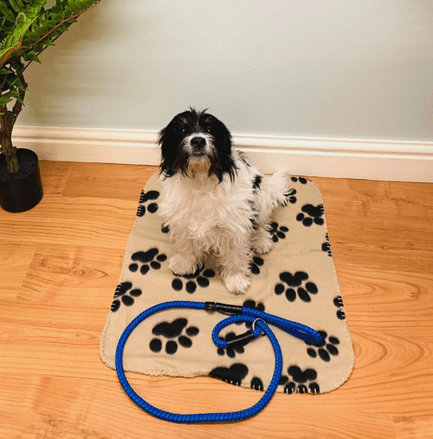 Brown Paw Print Fleece Throw 60cm - Price Crash Furniture