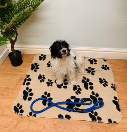 Brown Paw Print Fleece Throw 80cm - Price Crash Furniture