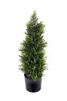 Cedar Topiary 58cm - Price Crash Furniture