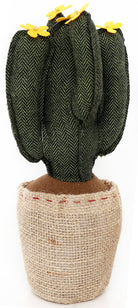 Dark Green Cactus Doorstop 34cm - Price Crash Furniture