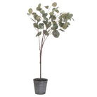 Eucalyptus Tree In Metallic Pot - Price Crash Furniture