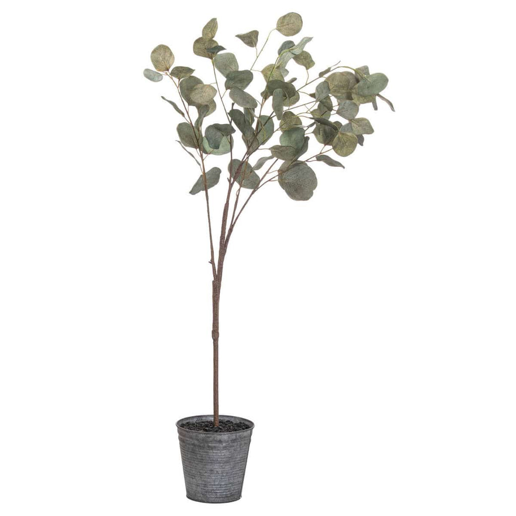 Eucalyptus Tree In Metallic Pot - Price Crash Furniture