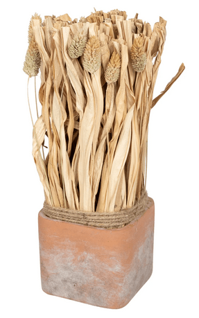 Fluffy Dried Grass Bouquet in Terracotta Pot- Large - Price Crash Furniture