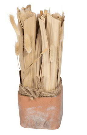 Fox Tail Dried Grass Bouquet in Terracotta Pot - Price Crash Furniture