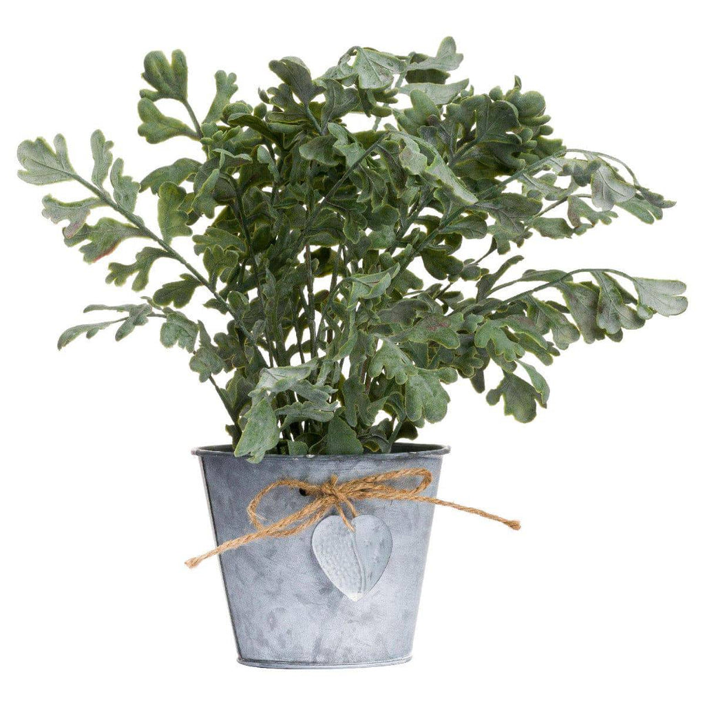 Herbs In Tin Pot - Price Crash Furniture