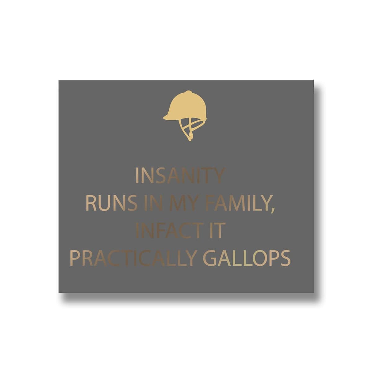 Insanity Silver Foil Plaque - Price Crash Furniture