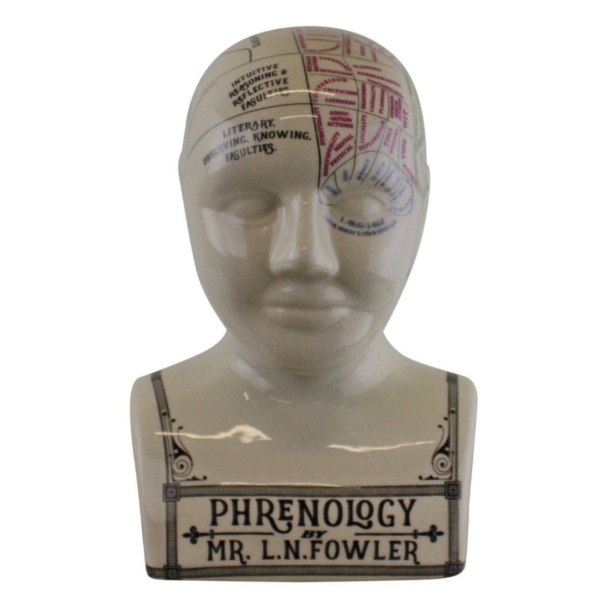 Large Ceramic Crackle Phrenology Head - Price Crash Furniture