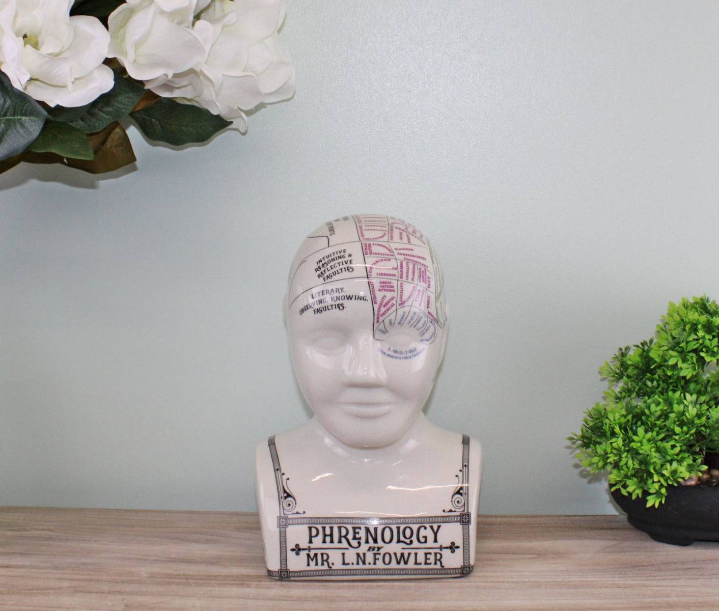 Large Ceramic Crackle Phrenology Head - Price Crash Furniture