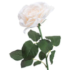 Large White Garden Rose - Price Crash Furniture