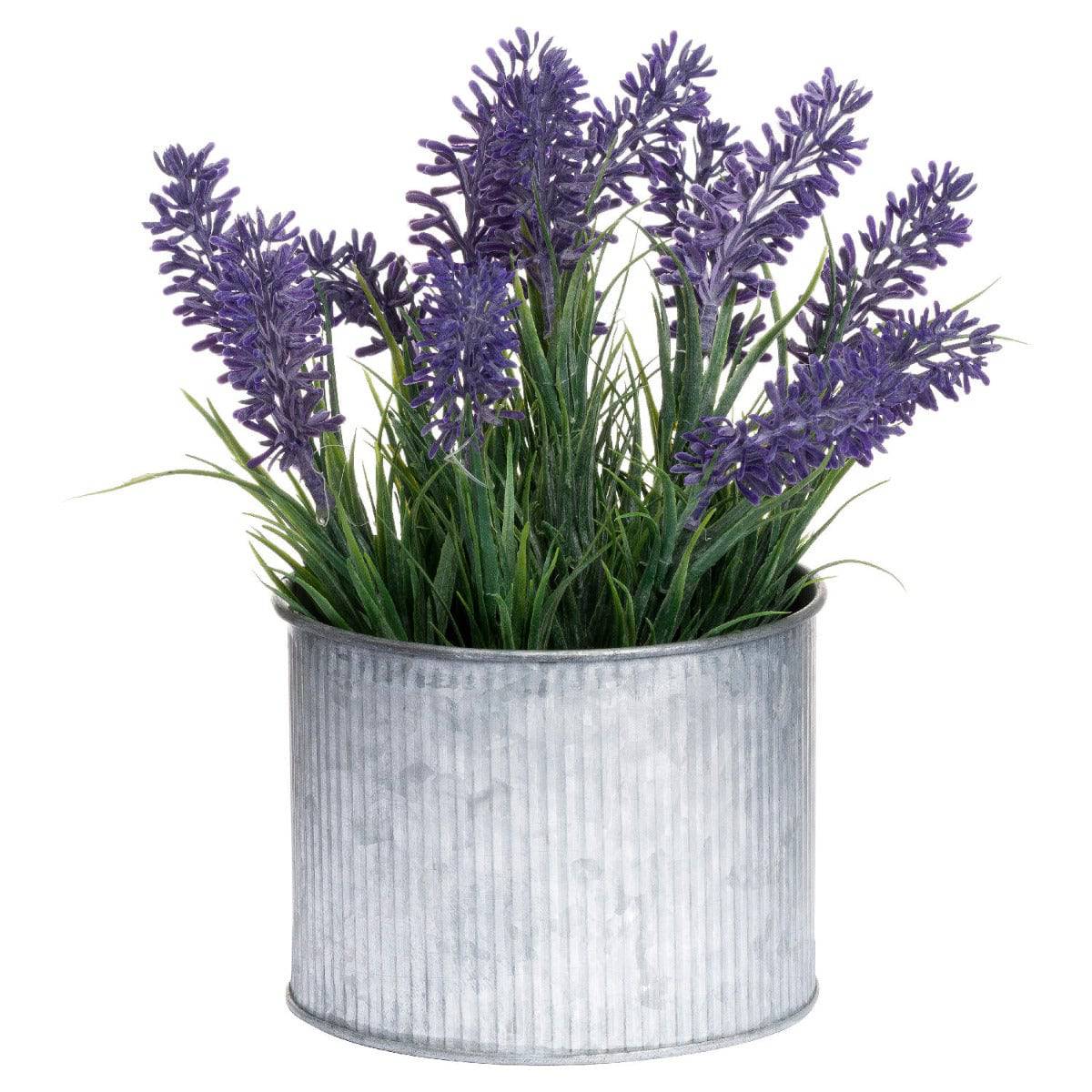 Lavender In Mini Dolly Tin - Price Crash Furniture