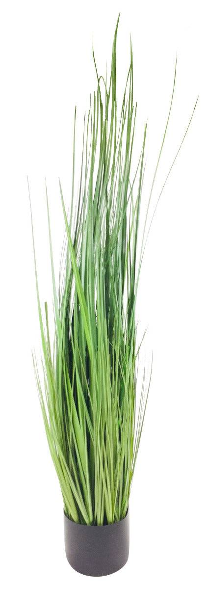 Onion Grass With Pot 113cm - Price Crash Furniture