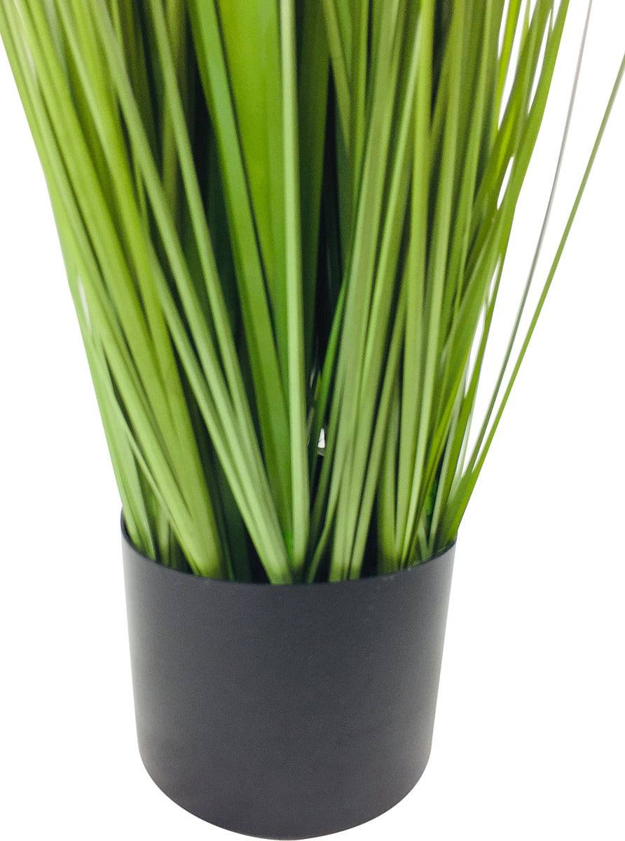 Onion Grass With Pot 113cm - Price Crash Furniture