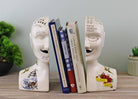 Ornamental Ceramic Phrenology Bookends - Price Crash Furniture