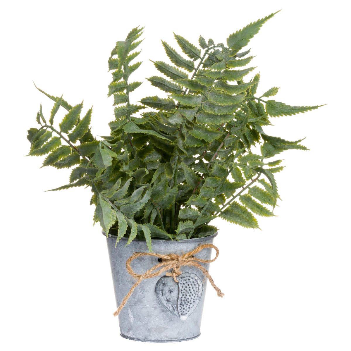 Sage Fern In A Tin Pot - Price Crash Furniture