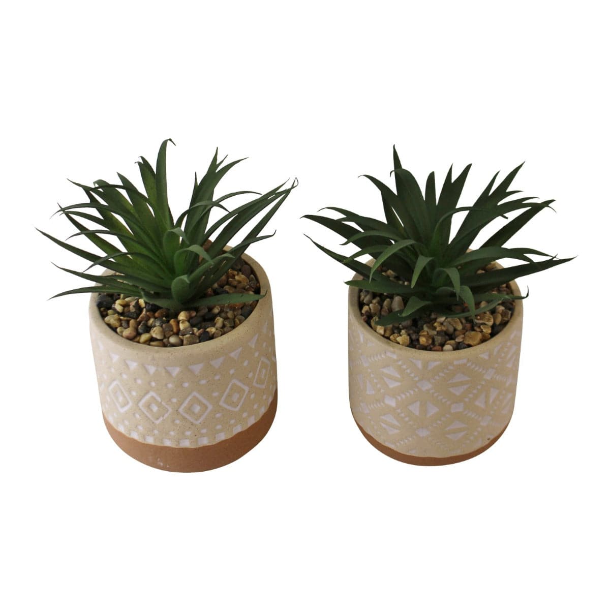 Set of 2 Faux Succulents In Ceramic Pots - Price Crash Furniture