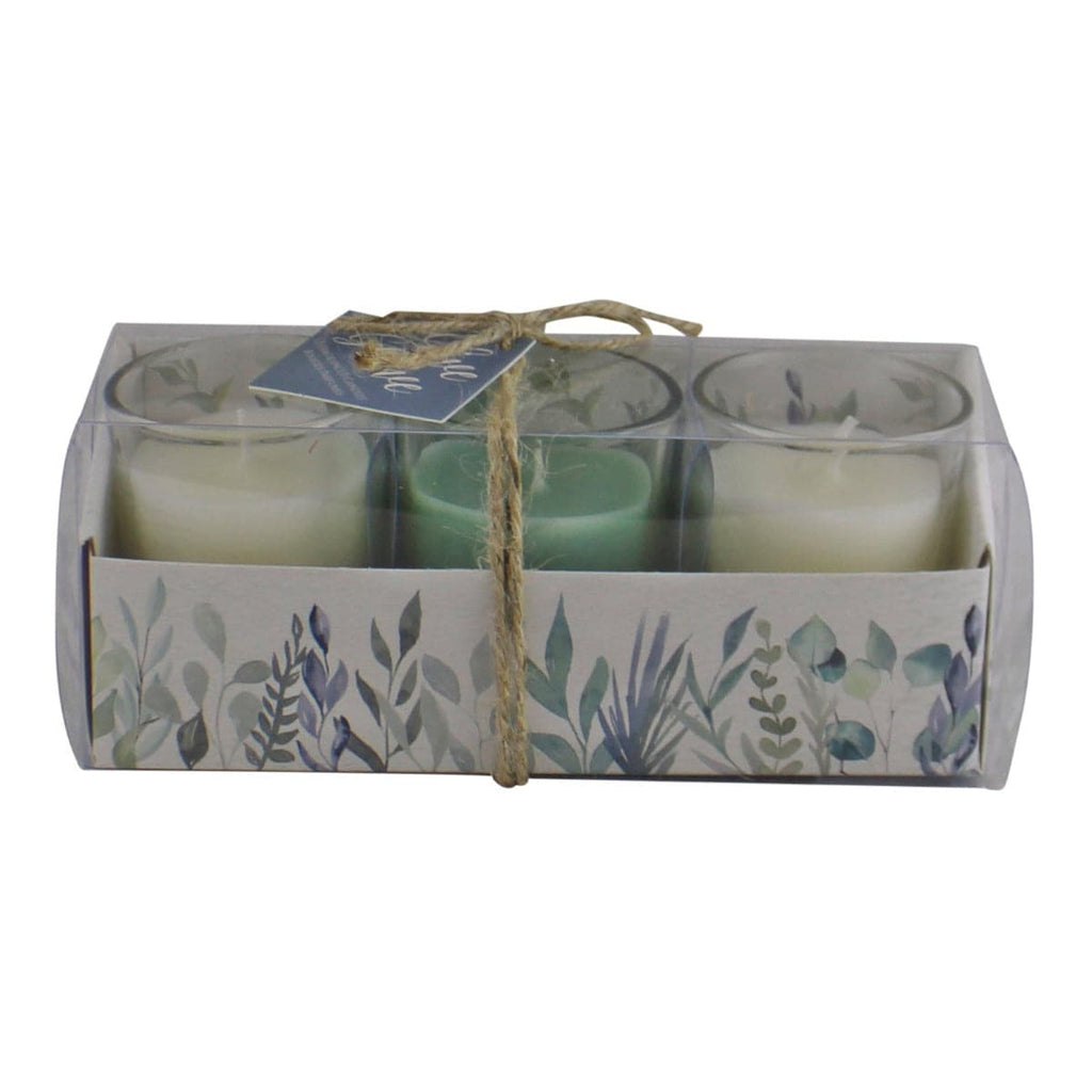 Set Of 3 Olive Grove Fragranced Votive Candles In Gift Box - Price Crash Furniture