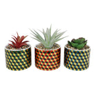 Set of 3 Succulents In Ceramic Pots With A Cubic Design - Price Crash Furniture