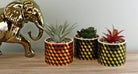 Set of 3 Succulents In Ceramic Pots With A Cubic Design - Price Crash Furniture