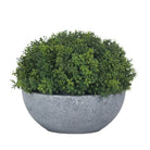 Small Hebe Globe Pot - Price Crash Furniture