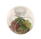 Succulent In Glass Terrarium with TeaLight Holder - Price Crash Furniture