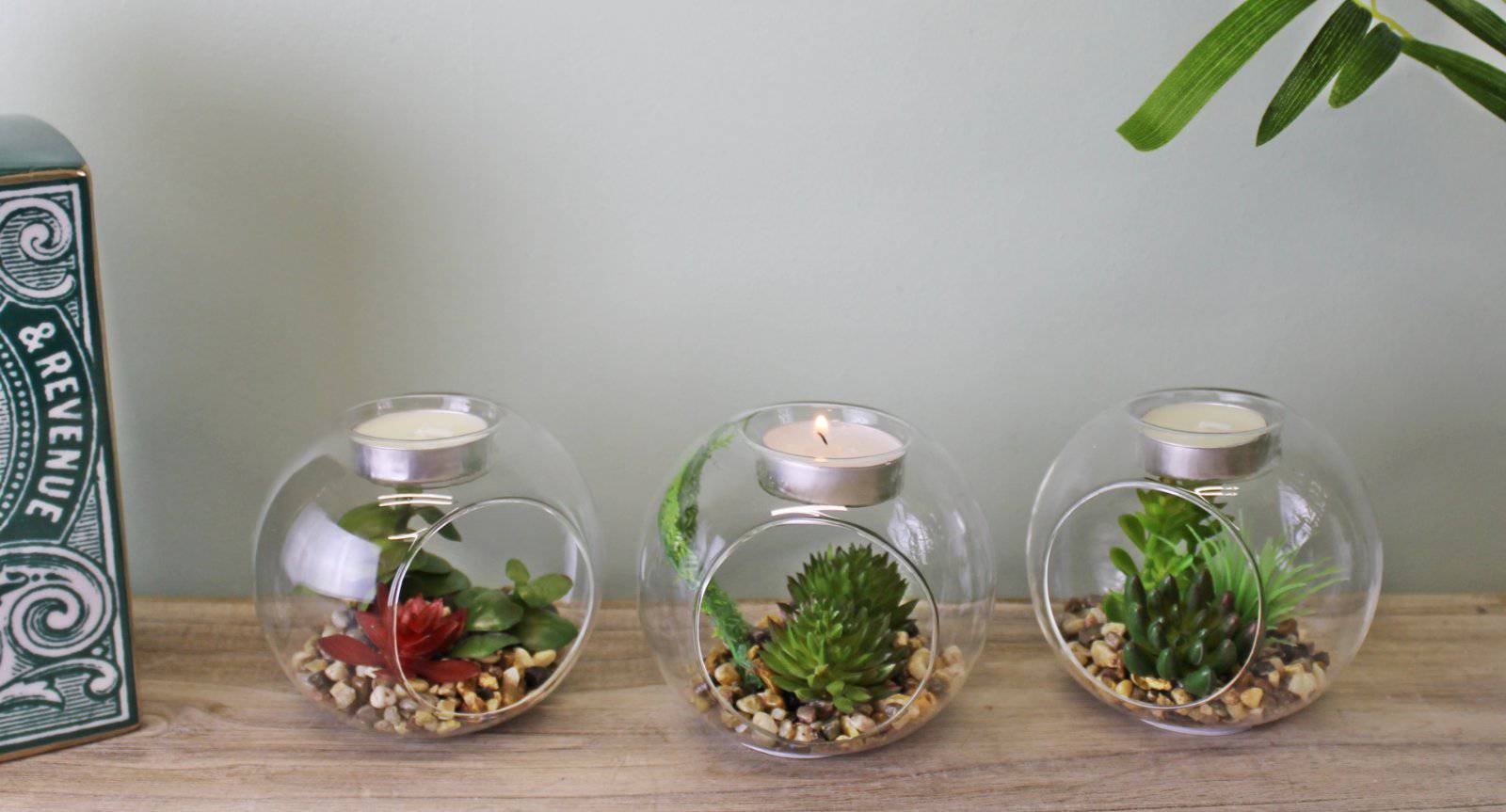 Succulent In Glass Terrarium with TeaLight Holder - Price Crash Furniture