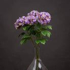 Vibrant Purple Viburnum Style Spray - Price Crash Furniture