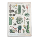 Vintage Metal Sign - Retro Cacti & Succulents Identification Picture - Price Crash Furniture