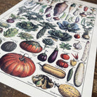 Vintage Metal Sign - Vintage Botanical Kitchen Vegetables Sign - Price Crash Furniture