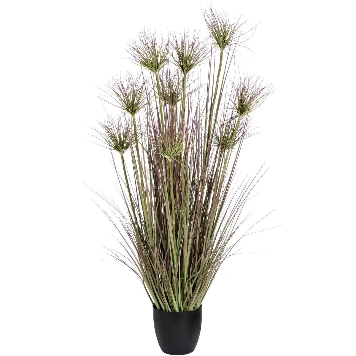 Water Bamboo Grass 48 Inch - Price Crash Furniture