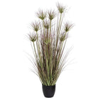 Water Bamboo Grass 48 Inch - Price Crash Furniture