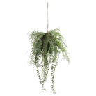 Fern Hanging Basket Arrangement - Price Crash Furniture