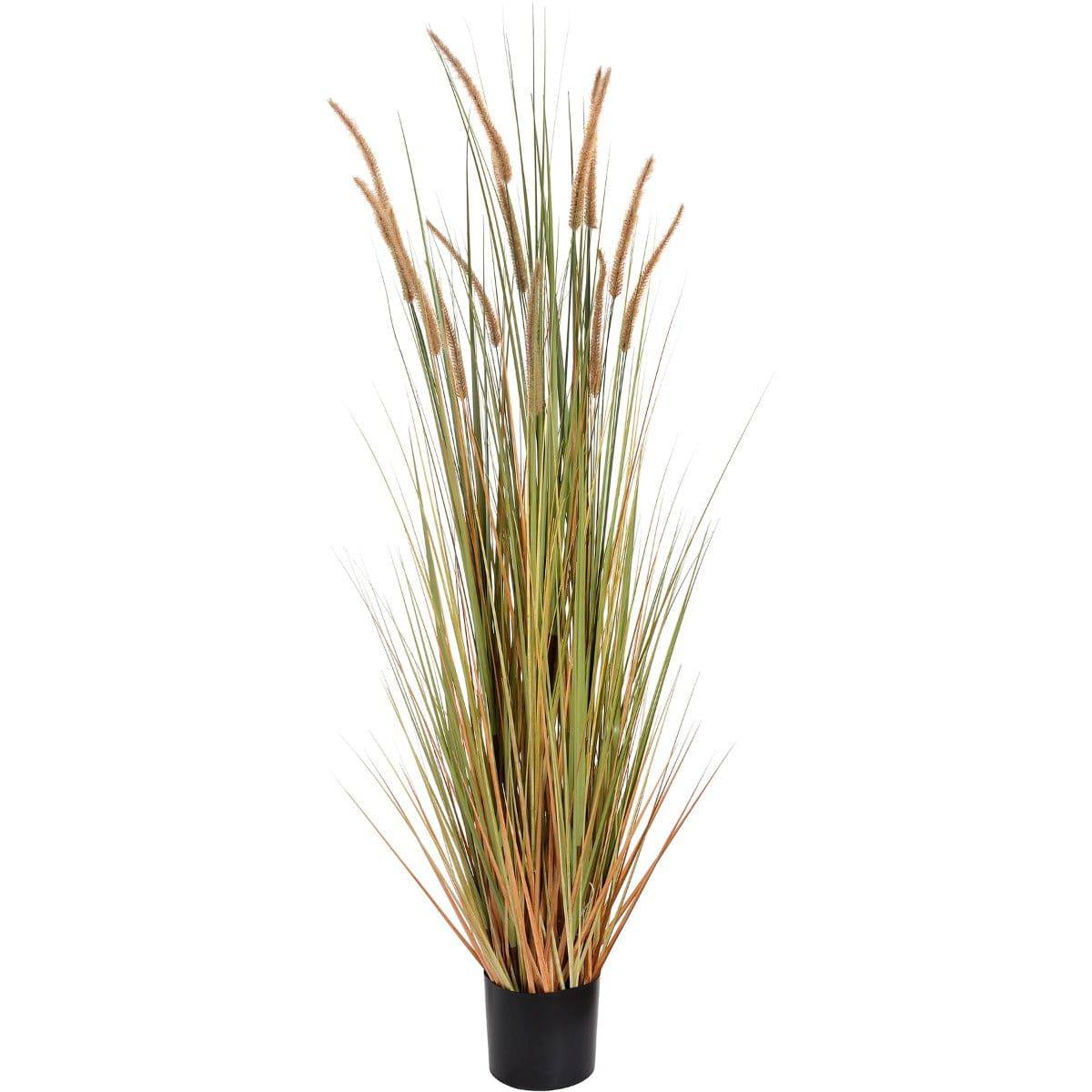 Field Grass Pot 60 Inch - Price Crash Furniture