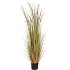 Field Grass Pot 60 Inch - Price Crash Furniture